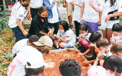 Main ke Desa Coklat Bali, Belajar Olah Kakao hingga Bawa Pulang Hasil