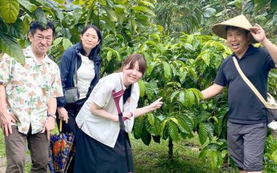 5 Aktivitas di Desa Coklat Bali, Seharian Jadi Petani Kakao